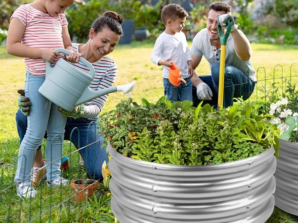 Raised Garden Bed (1, 2×2×1ft)