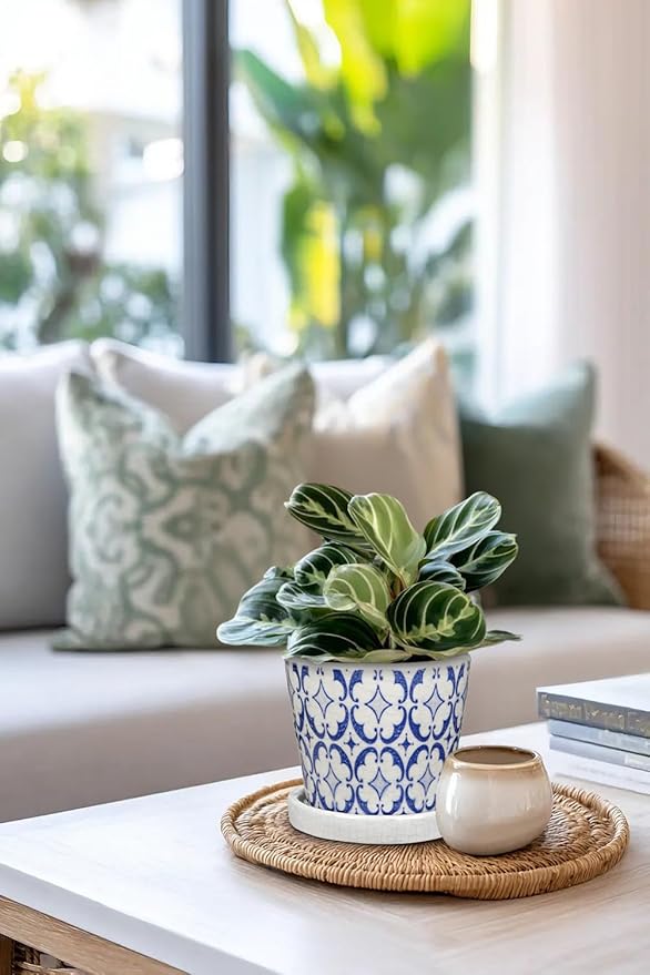 Small Ceramic Pots for Plants, 4.7 inch Blue and White Plant Pot Indoor with Drainage & Saucer Set of 3 Ceramic Planters for Indoor Plants Succulent Pot Decorative Flower Pots for Cactus, Orchid, Herb