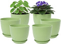 Plant Pots 8 Inch Set of 6, Flower Pots with Drainage Holes and Saucer, Plastic Garden Planters for Indoor & Outdoor Plants (Green)