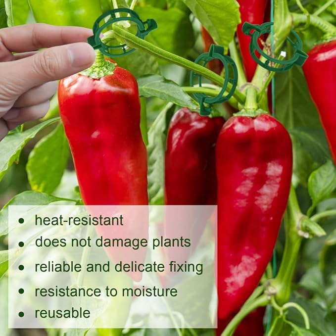 200 Pcs Plant Support Tomato Clips, Garden Clips, Crop Clips for Vine Vegetables, Fixing Tomato, Sweet Pepper, Eggplant, Makes Plants Grow Upright and Healthier（Green）