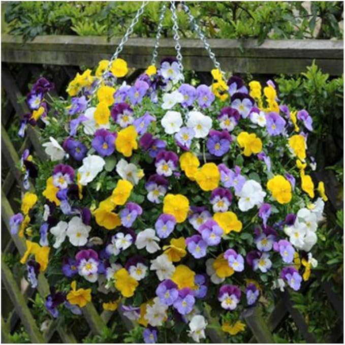 Ultimate Hanging Baskets - Strawberry, Tomato, Flower, and Herb Outdoor Planters - Use Garden Pots for Growing Plants Outside On A Deck, Fence, or Balcony (2)