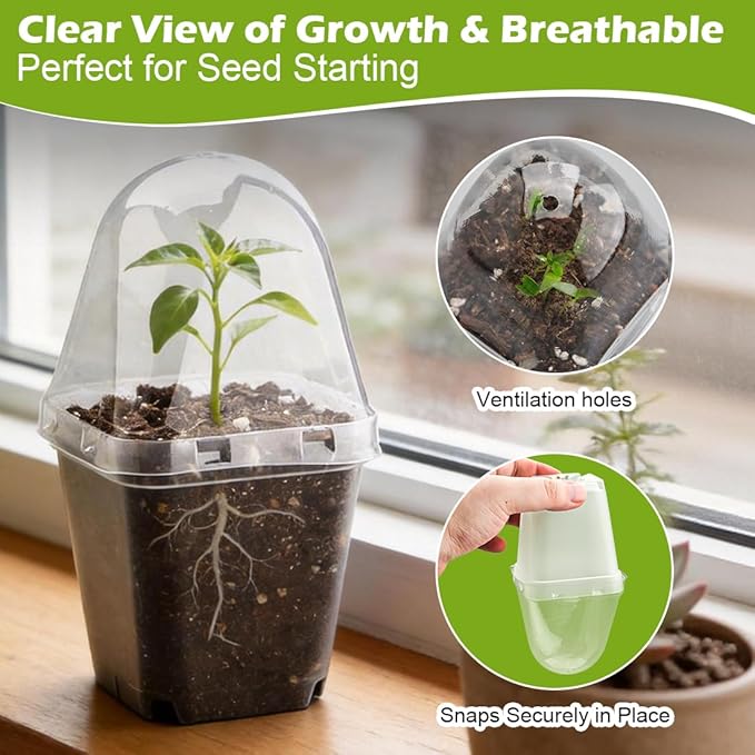 2.7 Inch Square Nursery Pots with Humidity Dome, 60 Packs Clear Seedling Pots with Drainage Holes, Reusable Propagation Pots Small Plant Container for Indoor Outdoor Gardening