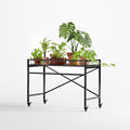Zhongma Sturdy Metal Plant Stand with Wheels, 36.6 x 16 x 26.2 in High, Heavy Duty Succulent Shelf for Home Indoor and Outdoor, 220 LBS Capacity & Heavy Duty Construction