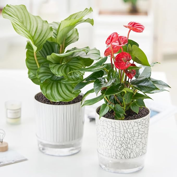 Self Watering Pots for Indoor Plants, Flower Pots, Self Watering Plant Pot-2pcs 4+5.3inch Crack Texture