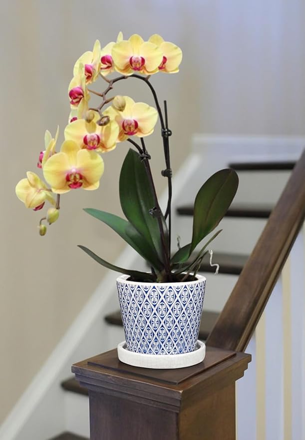 Small Ceramic Pots for Plants, 4.7 inch Blue and White Plant Pot Indoor with Drainage & Saucer Set of 3 Ceramic Planters for Indoor Plants Succulent Pot Decorative Flower Pots for Cactus, Orchid, Herb