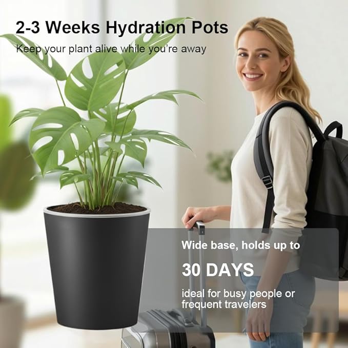 3 Pack of 6in Plastic Cachepot with 6 inch Clear nusery Pot - self Watering Indoor Planter with Drainage for Root Visibility,semi Hydro pots for repotting Orchids,Aroid or Monstera,Black