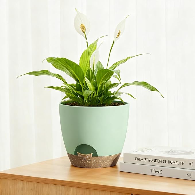 Plant Pots 8/7.5/7/6.5/6 Inch Self Watering Pots,5 Pack Planters with Drainage Holes and Saucers,Plastic Flower Pots,Nursery Planters for Indoor Outdoor Plants (Green)