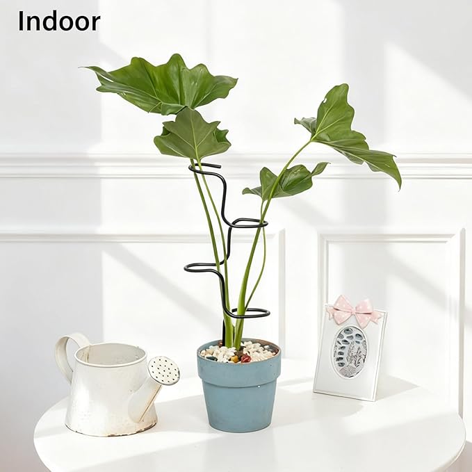 3PCS Indoor Plant Support Stakes - Sturdy Metal Trellis for Garden Flowers & Monstera, Durable & Easy to Use, Perfect for Small to Medium Indoor Plants, Ideal Gift for Plant Lovers!