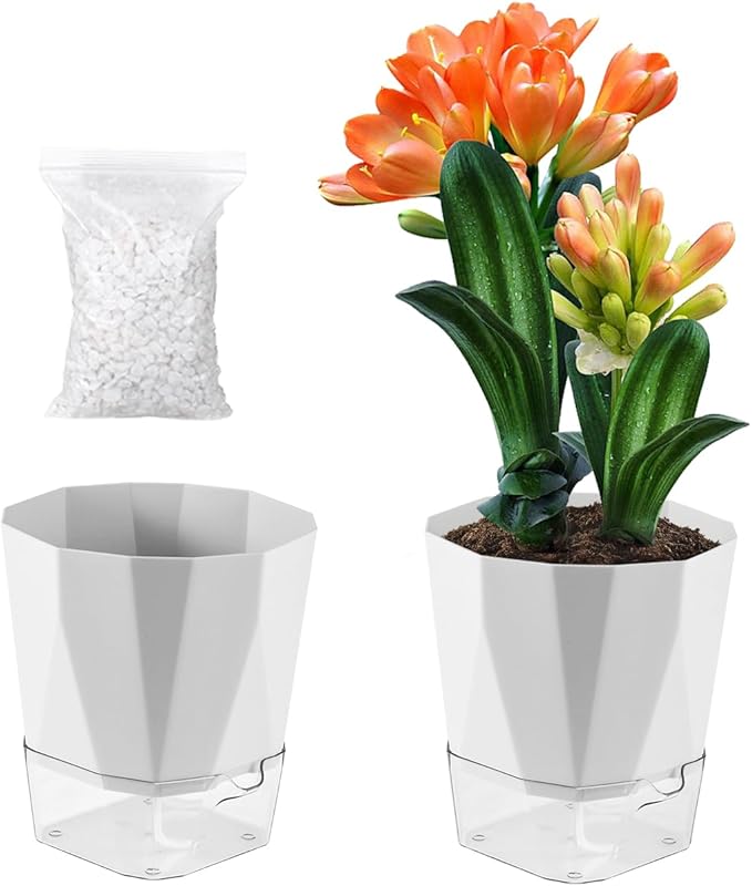 2 Pack Self Watering Pots for Plants, 8.4" Self Watering Planters Large African Violet Self Watering Clear Pots for Plants Large Herb Orchid Flower Houseplant Pots, Light Grey