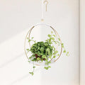 Mid Century Boho Macrame Metal Planter - Indoor/Outdoor Hanger, Conner Ceiling, Gift for Mom or Plant Lovers, Housewarming
