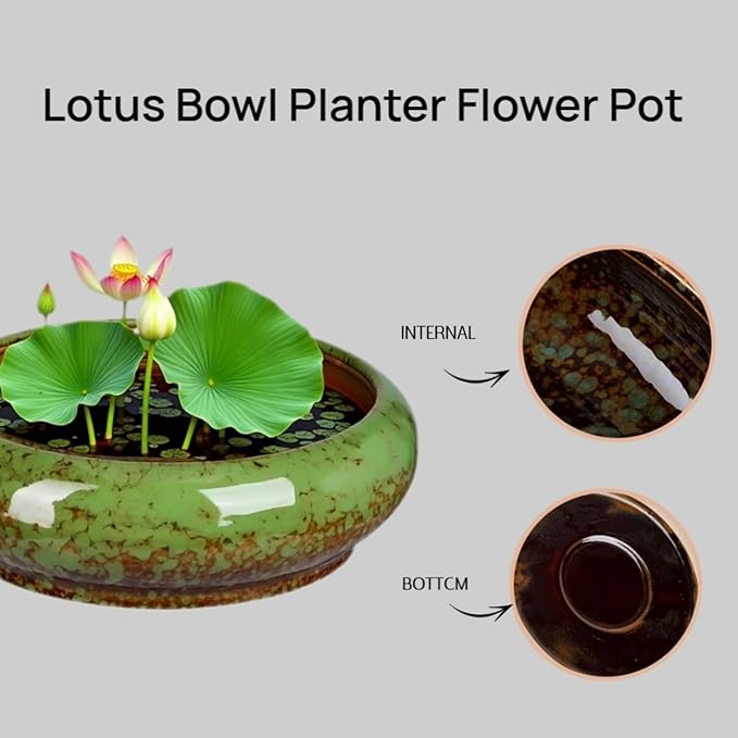 7.3 Inch Succulent Planters Pots Shallow Ceramic Glazed Planter Pots, Lotus Bowl Planter Round Shallow Planter Water Lily Pot for Indoor/Outdoor Plants Decorative (Green