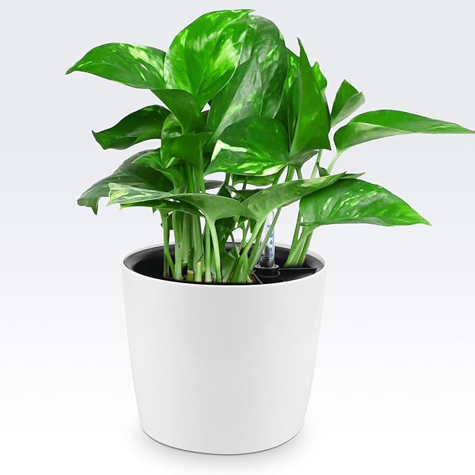4 Pack 7 Inch Self Watering Planter for Indoor Plants, White Decorative Round Plastic Self Watering Pots with Level Indicators for Soil Planting, Flowers, Herb, African Violet, Succulent