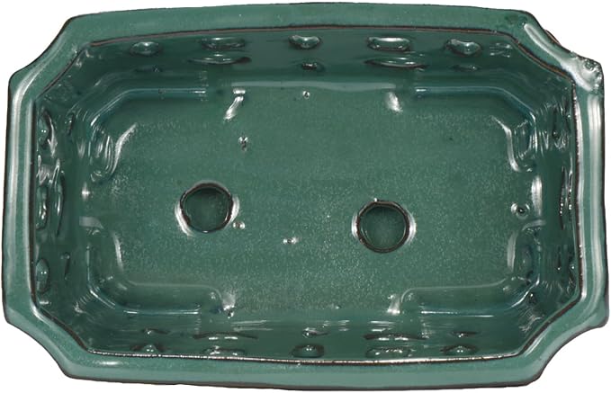 W&W Orchid Pot with Holes and Saucer for Repotting, Green, 9.7 Inches
