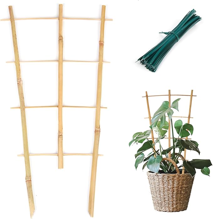 Plant Trellis Indoor 6 Pack Bamboo Trellis with Twist Ties, 16in Fan-Shaped Plant Trellises for Potted Plants Hoya Vines Monstera Houseplants