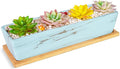 Succulent Pots - 12.1 Inch Large Succulent Pots with Drainage Tray, Window Sill Planter, Long Rectangle Ceramic Pots for Indoor Cactus/Succulent Plants Shallow Bonsai Window Box for Home Garden Decor