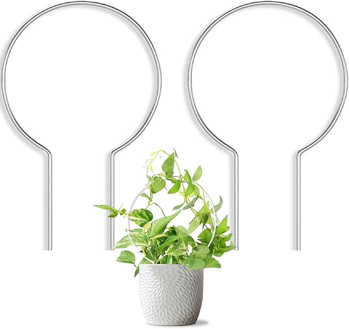 2 Pack Round Plant Trellis for Potted Plants Indoor Outdoor, Acrylic Small Trellis for Climbing Plants, Plant Support for Hoya Pothos Vine Ivy Monstera Flower Philodendrons Dischidia