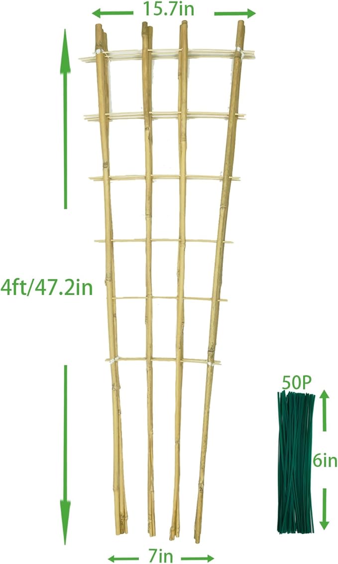 Natural Bamboo Trellis, 4.8Feet,3Pack,Fan-Shaped Plant Support Trellis for Outdoor and Indoor Potted Climbing Plants,Vegetables, Cucumber, Tomato, Hoya,