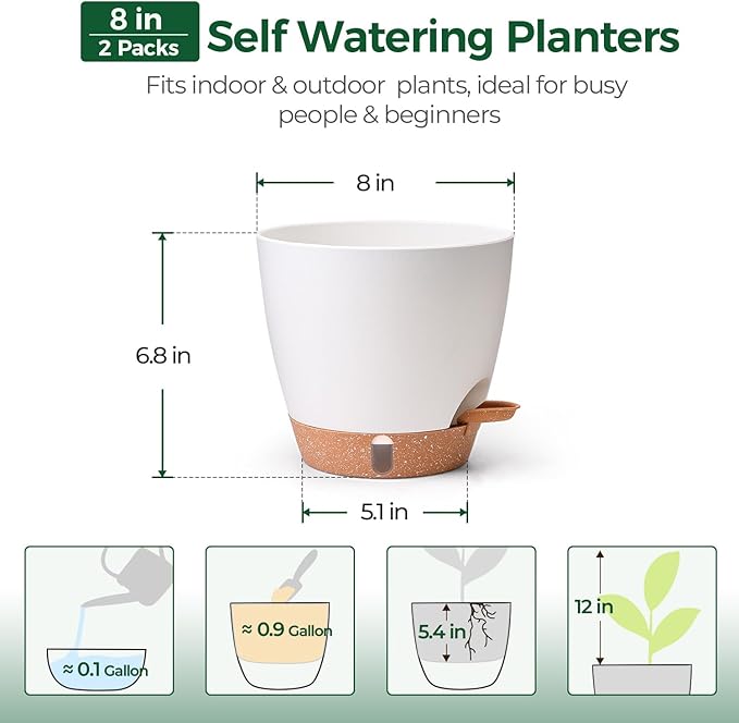 T4U 2 Pack 8 Inch Self Watering Pots - Water Level Indicator & Deep Reservoir, Mess-Free Planter for Busy People, Beginners & Gardeners, Pothos/Herbs/Snake Plants, Indoor Outdoor Use (White)