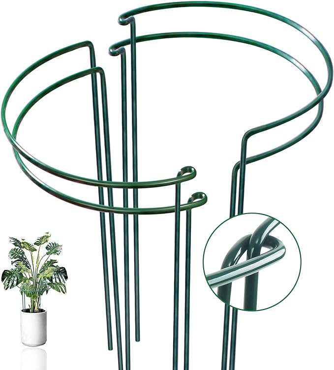 4 Pack Snake Plant Support Stakes, Peony Cages and Supports, Heavy-Duty Hoseplant Support, Hydrangea Support Cage, Aloe Plant Support Ring, Plant Support Stake for Indoor and Outdoor Potted Plants