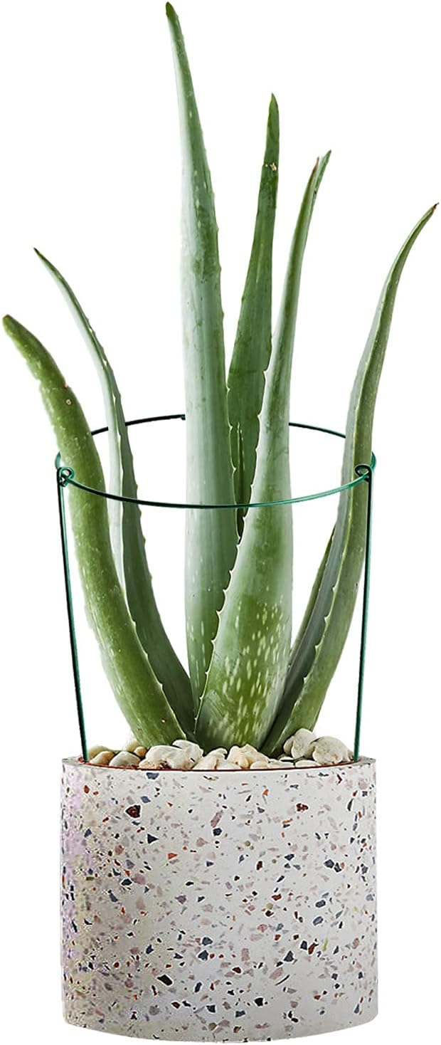 HiGift 3 Pack Peony Cages Support Stakes Ring for Garden, Round Plant Support for Outdoor (10" W x 17" H), Indoor Plant Cages Hoops Plant Rings for Tomatoes,Rose,Astilbes,Vine Indoor Potted Plants