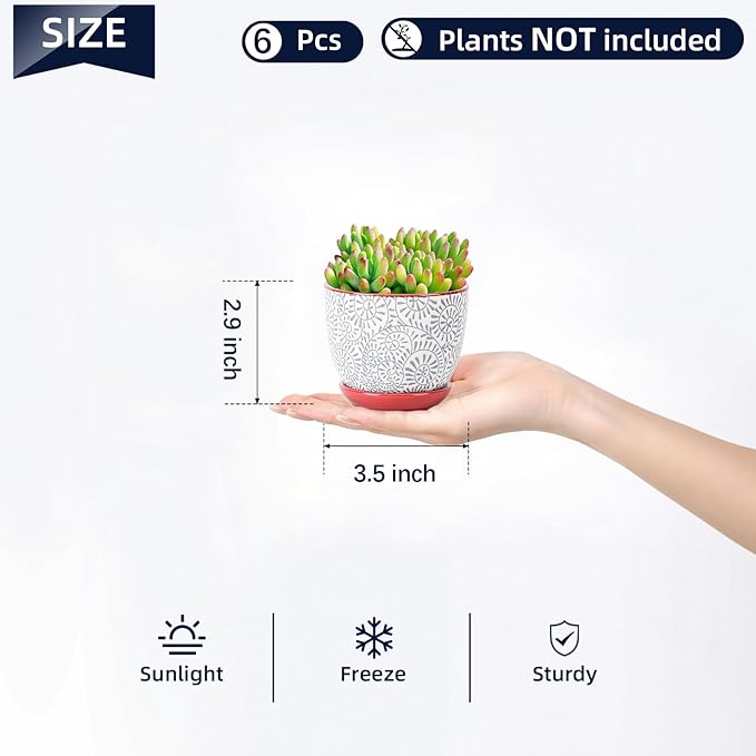 Selamica Ceramic Succulent Pots, 3.5 Inch Small Plant Pots for Indoor Plants Cactus Herbs, Succulent Planters with Drainage Holes & Saucers, Home Decor, Set of 6, Assorted Colors