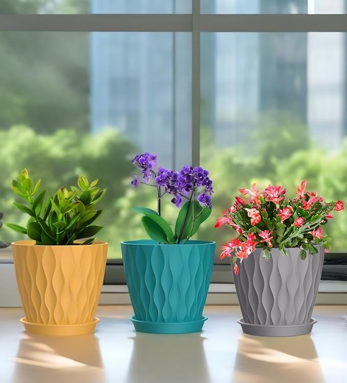 6 Inch Plant Pots, 6 Pack Indoor Flower Pots, Planters with Drainage Holes and Trays for Orchids, Violets, Succulents, Herbs, and Other Plants,Corolful