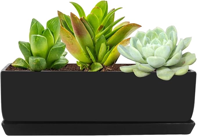 Vencer 14 Inch Rectangular Modern Minimalist Ceramic Succulent Planter Pot - Window Box with Saucer,Office Desktop Potted Stand,Black,VF-0175B
