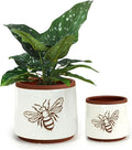 YBX Terracotta Pots Inch with Drainage Holes, Bee Decor, Ceramic Pots for Indoor Plants Flower Pots Outdoor, Succulent, Herbs, Snake Plants (White, 6+4 Inch)