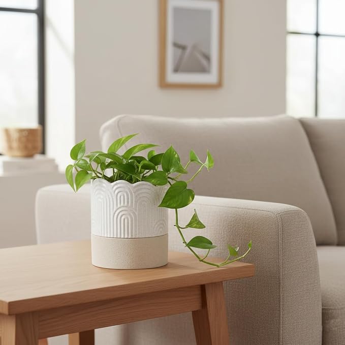Nihow Self Watering Plant Pot: 4.5 Inch Ceramic Planter with Drainage Hole & Water Storage Plus for Indoor & Outdoor Plants - Cylinder Flower Pot for Herbs/Violets - Beige & Nature