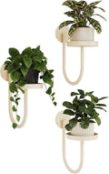 Bamworld Wall Plant Holder Wall Planters for Indoor Plants Plant Hanger Indoor Window Plant Shelves Hanging Plant Holder Window Plant Hanger Plant Decor White 3pcs