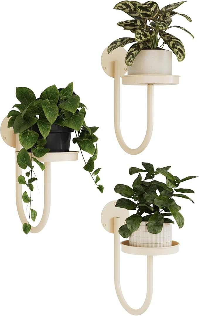 Bamworld Wall Plant Holder Wall Planters for Indoor Plants Plant Hanger Indoor Window Plant Shelves Hanging Plant Holder Window Plant Hanger Plant Decor White 3pcs