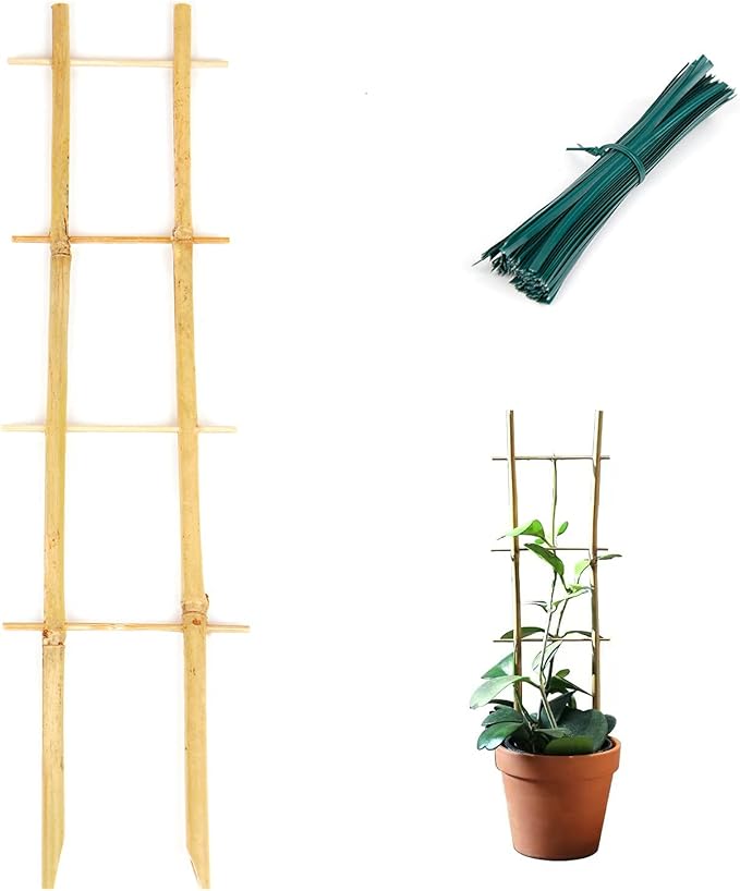 Bamboo Trellis, 16in Ladder-Shaped Trellis for Potted Plants, 3 Pack for Climbing Plants Indoor