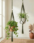 Bamworld Macrame Plant Hanger Indoor Hanging Planter for Plants Hanging Plant Basket Macrame Wall Hanging Planters Boho Decor Home Room Decor Aesthetic 36 Inches Natural Green, Set of 2