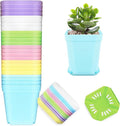 OJYUDD 24 Pack Multi Color Plastic Plant Pot,Colorful Plastic Square Pots,Mini Plastic Square Planters for Indoor Outdoor Plants Flowers,Garden,Office,Home Decor,with Pallet