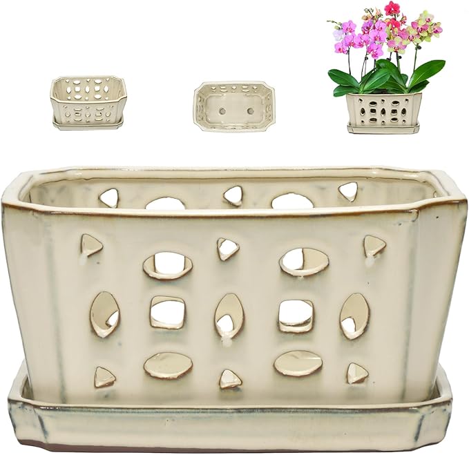W&W Orchid Pot with Holes and Saucer for Repotting, Cream White, 9.7 Inch