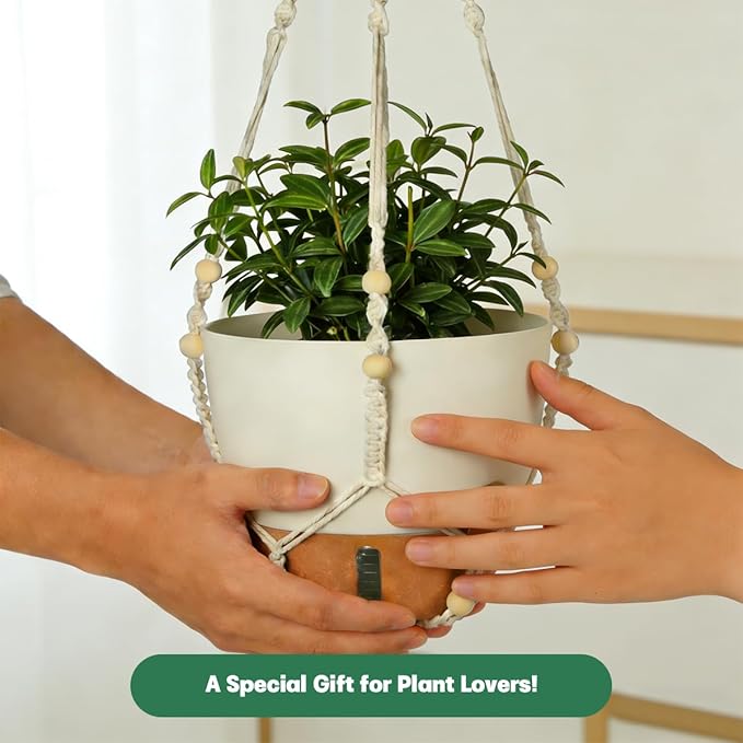 Self-Watering Hanging Planters for Indoor Plants Set 2-Piece Includes Plant Hanging Pot, Drainage-Hole Hanging Pot, and Hanging Basket Rack (10 Inches, White)