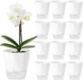 12 Pack Self Watering Plant Pots 6 Inches Self-Watering Planters for Indoor and Outdoor Plants African Violet Succulent Pots Clear Pot for Plants Large Herb Orchid Flower Houseplant Plant, White