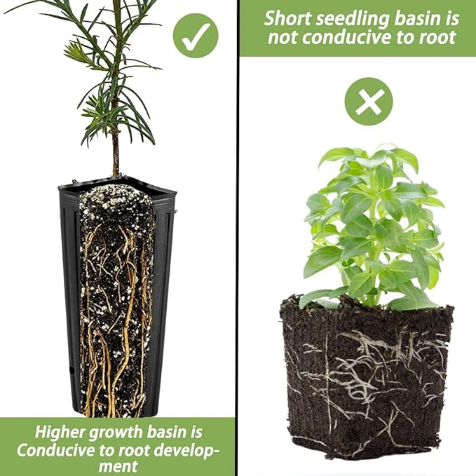 DredQcco Tall Deep Tree Pot, 50Pcs Plastic Plant Seedling Treepots Tall Flower Plant Container Starting Pots with Drainage Holes Flower Container for Indoor Outdoor Garden Plants 9.8" H x 4.7" W