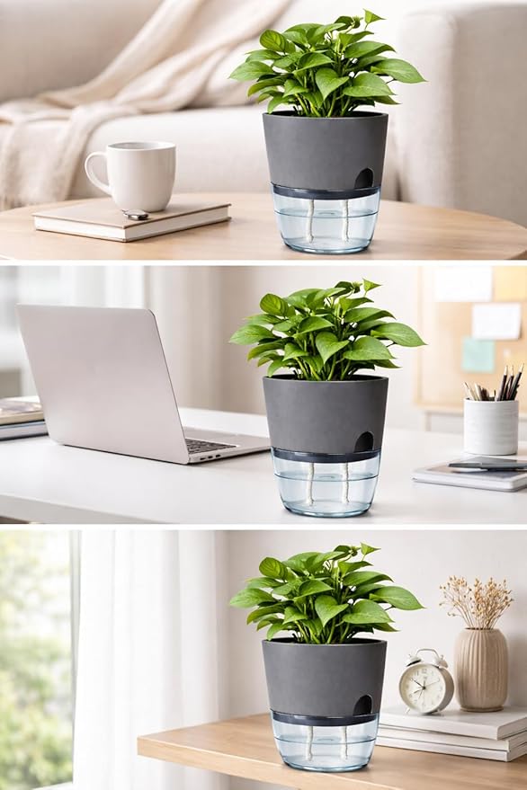 Self Watering Planter Pot with Upgraded Wick System – Modern Indoor Plant Pot with Visible Water Reservoir