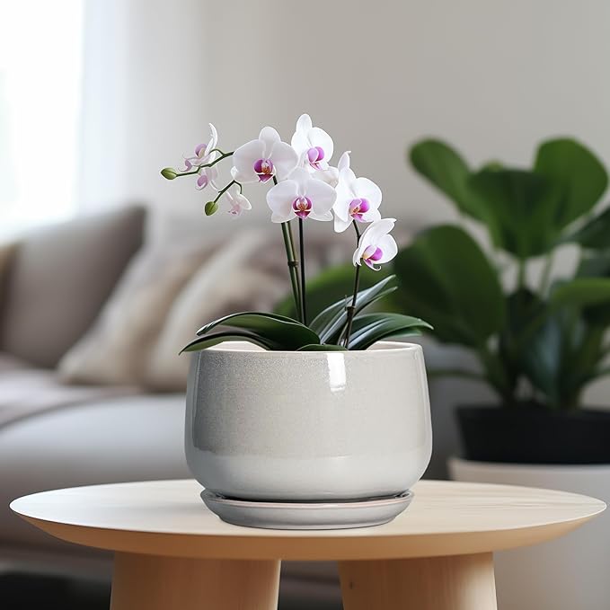 G EPGardening Ceramic Plant Pots - 7 Inch Plant Pot with Drainage and Saucer, Ceramic Planters for Indoor Outdoor Plants, Modern Round Planter, Room Decor, Gardening Gifts for Women Men, Light Grey