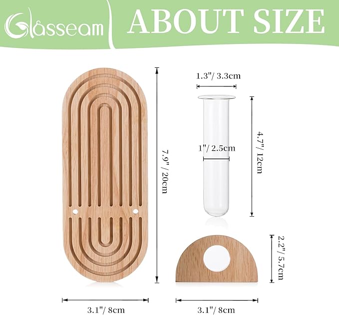Glasseam Hanging Plant Propagation Stations: Boho Glass Wall Propagation vases Set of 4 - Wood Plant Holder Decorative Planters Terrarium Test Tube for Home Office Indoor Decor