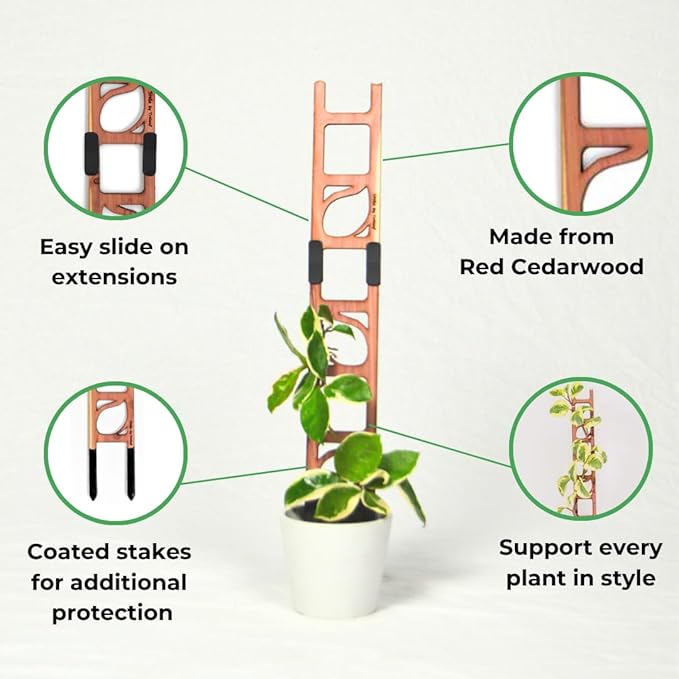 Treleaf Stella Extendable Ladder Trellis - Wooden Plant Trellis for Indoor Climbing Plants, Modular Plant Support Stake with 12” Base + 8” Extension - Perfect for Ivy, Hoya, Houseplants