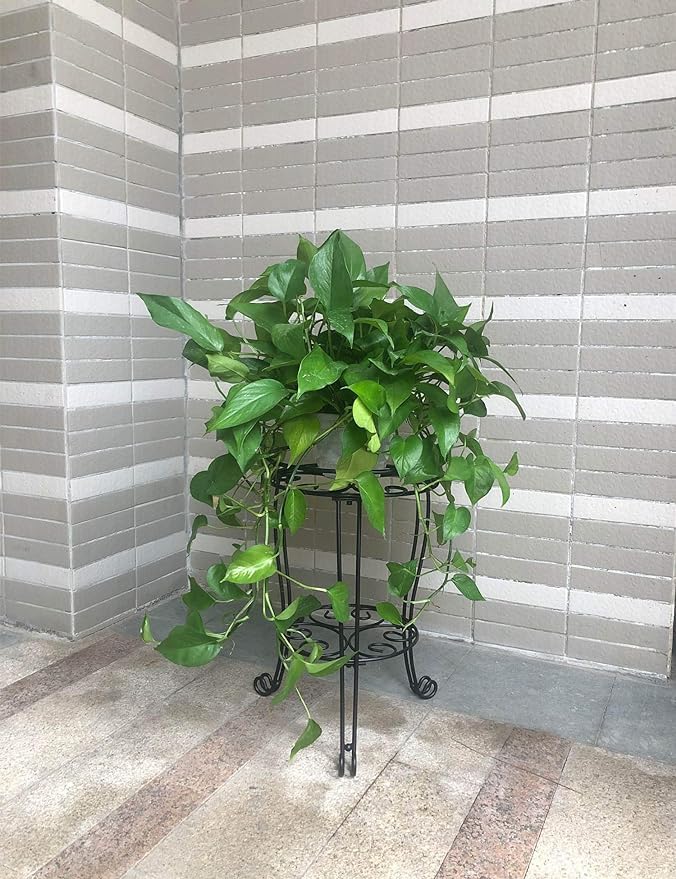 11.8 inches Diameter Tall Metal Plant Stand for Indoor or Outdoor,Heavy Duty Flower Pot Stand Rack Holds Big Heavy Plants,Black (18.9 INCHES TALL)