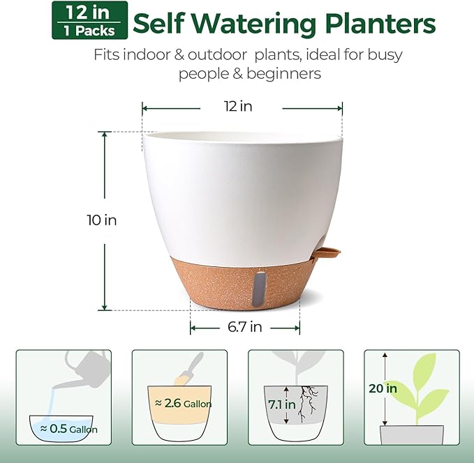 T4U 12 Inch Self Watering Pot - Water Level Indicator & Deep Reservoir, Mess-Free Planter for Busy People, Beginners & Gardeners, Fits Rubber Tree/Fiddle Leaf Fig Plants, Indoor Outdoor Use (White)
