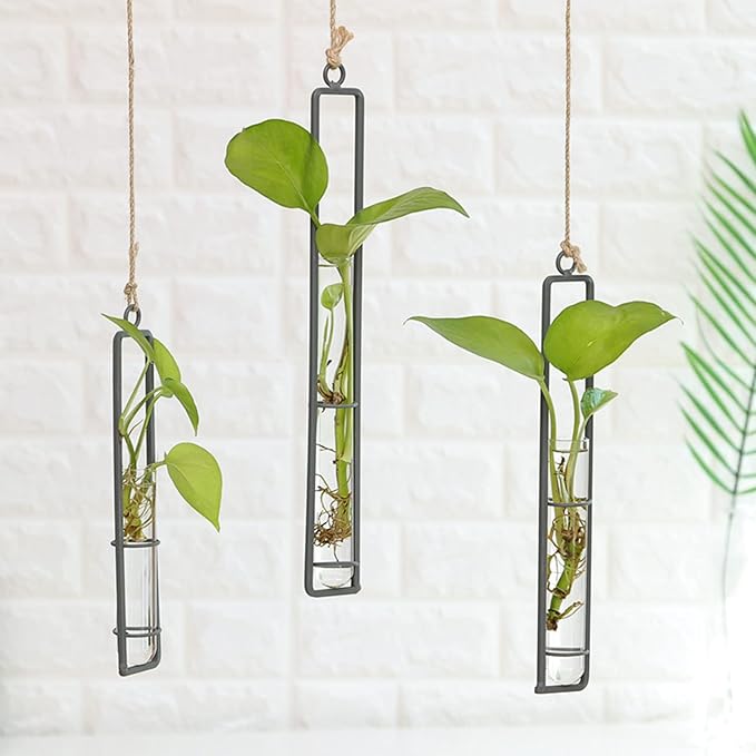 3 Pieces Hanging Glass Hydroponic Planter Transparent Test Tube Plant Vase Terrarium Container for Indoor Outdoor Modern Home Decoration (Black)