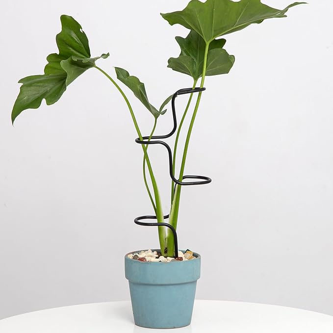 3PCS Indoor Plant Support Stakes - Sturdy Metal Trellis for Garden Flowers & Monstera, Durable & Easy to Use, Perfect for Small to Medium Indoor Plants, Ideal Gift for Plant Lovers!