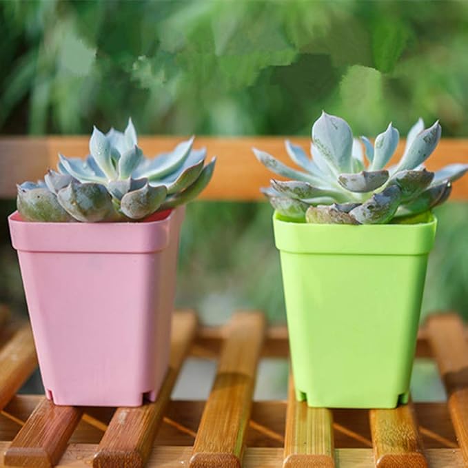 Haawooky 24 Pack Colorful Flower Pots Square Plastic Plant Pots Succulent Planter Nursery Pots with Saucers for Your Room,Garden Office and Balcony Decor