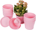 TDHDIKE 10 Pcs Plastic Planters Indoor Flower Plant Pots, Mini Flower Seedlings Nursery Pot/Planter/Flower Pot with Pallet, Modern Decorative Gardening Containers (Pink)