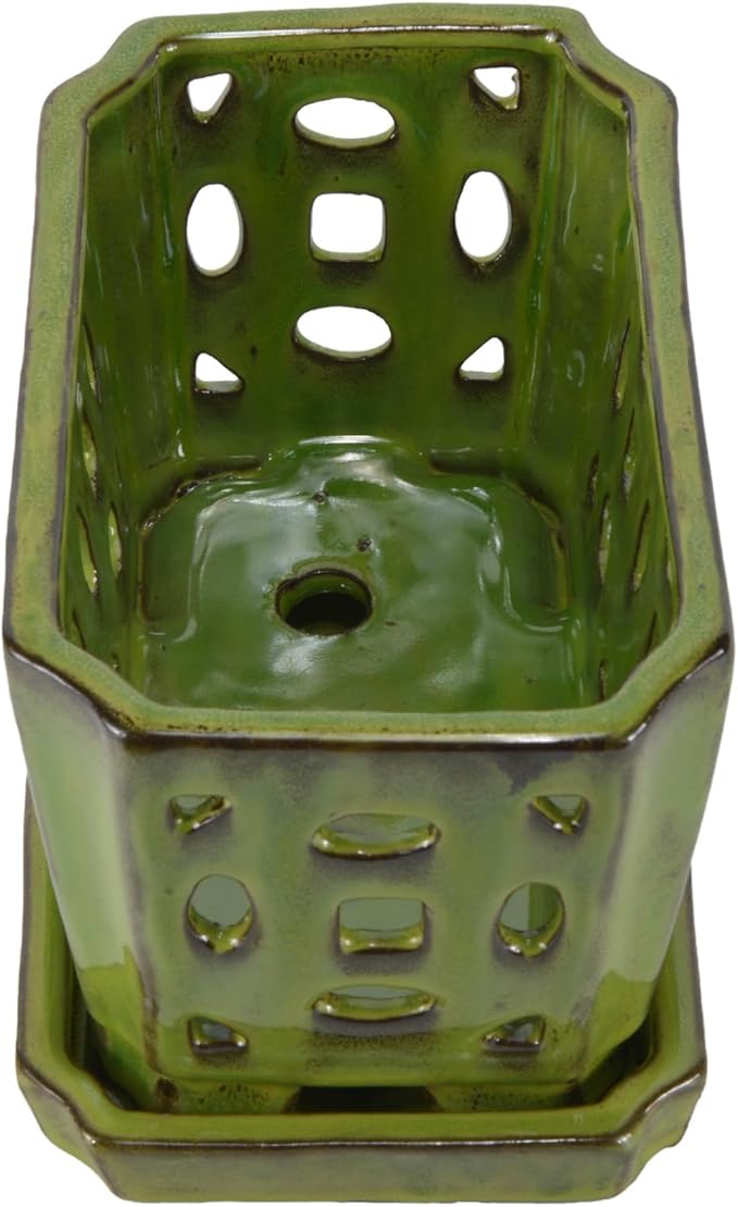 W&W Orchid Pot with Holes and Saucer for Repotting, YellowGreen, 9.7 Inch