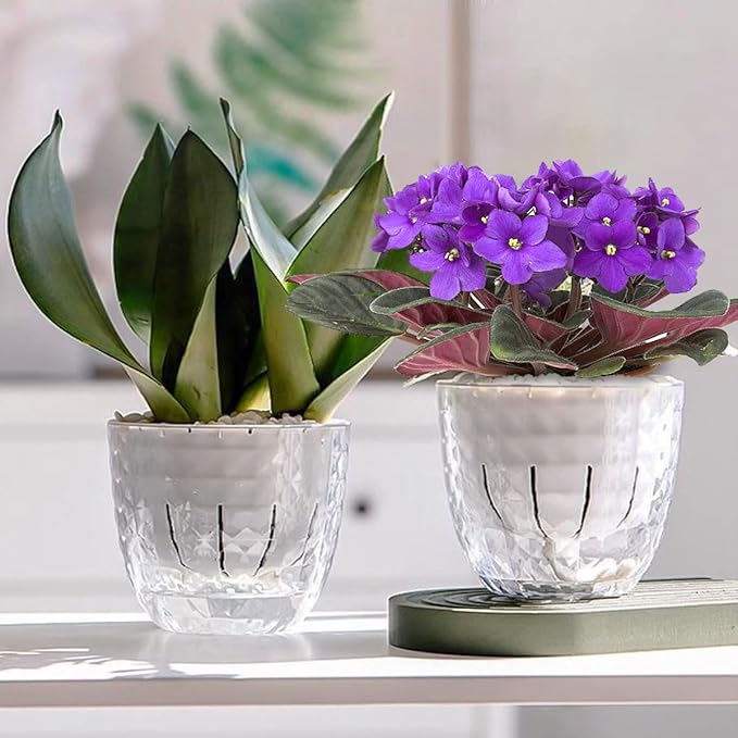 2 Pack 6 inch Self Watering Pots Planters for Indoor Plants, African Violets Pots with Wick Rope, Modern Plastic Nursery Pots for All House Plants,Flowers Succulents,Herbs,Cactus,Orchids